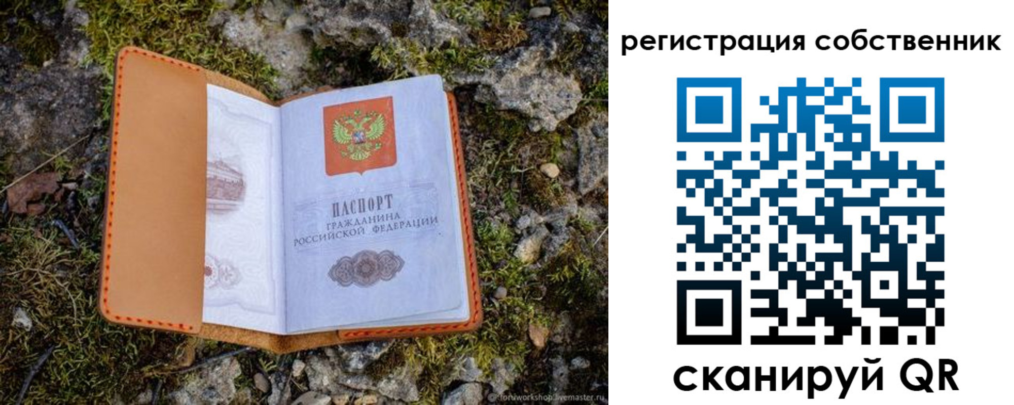 прописка поиск в Рязанской области